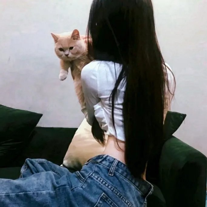 猫与苍蝇